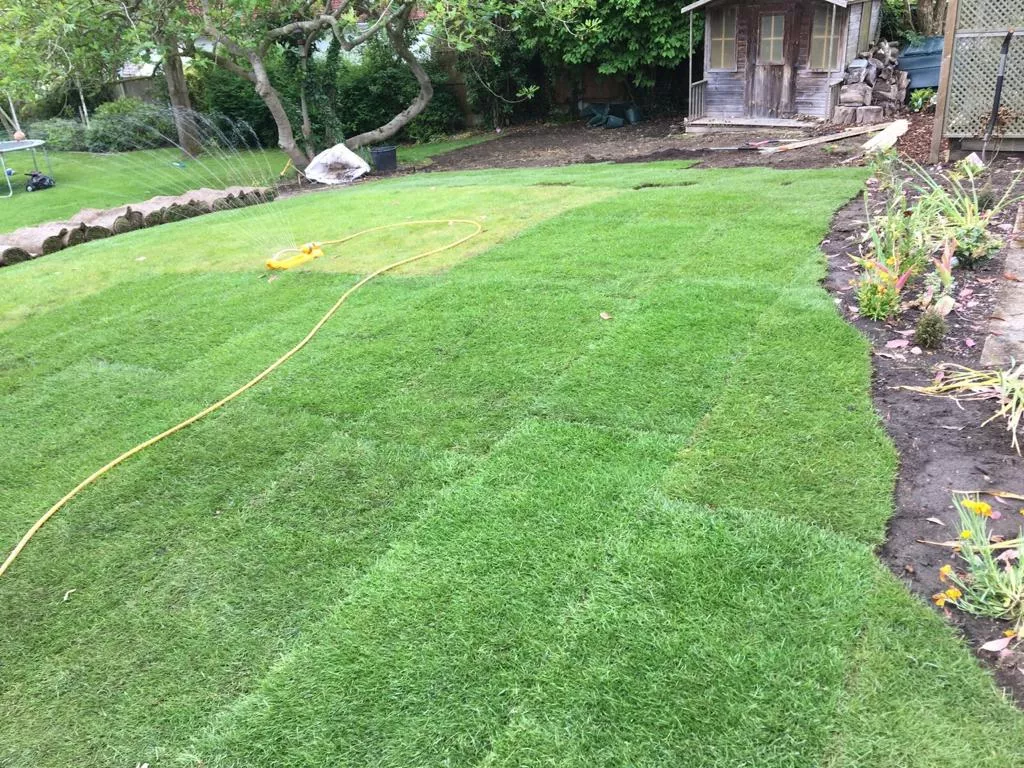 Garden Maintenance | Lawn maintenance